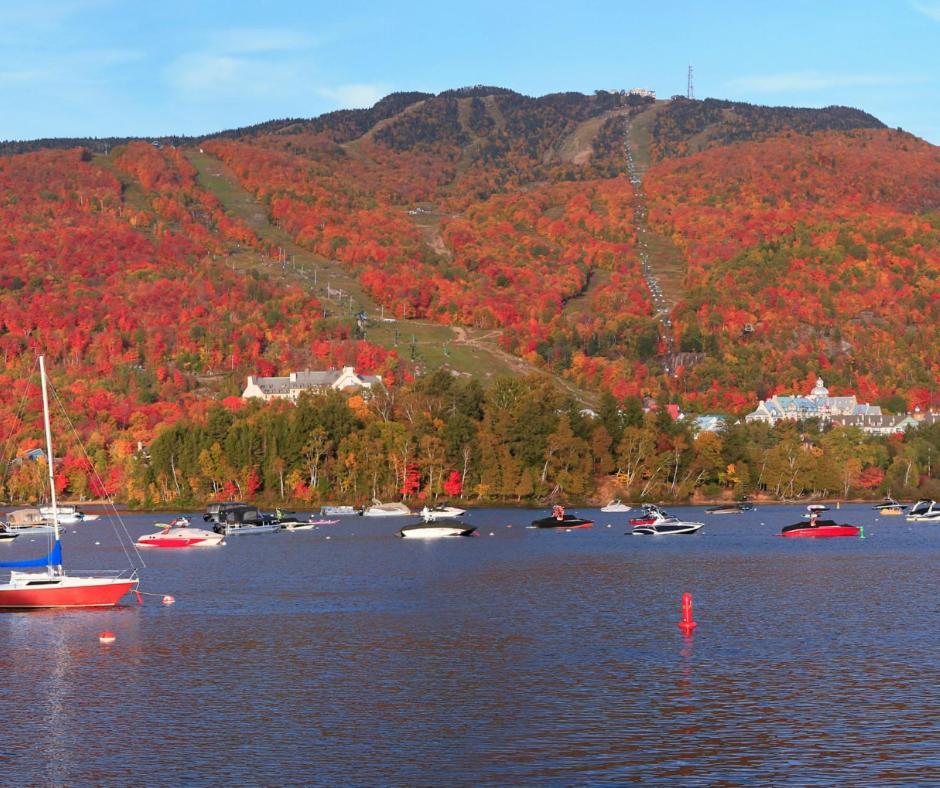Amazing Lakemountain View 5Min To Tremblant 491 モントランブラン エクステリア 写真